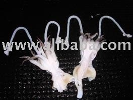 FROZEN CUTTLE FISH TENTACLES