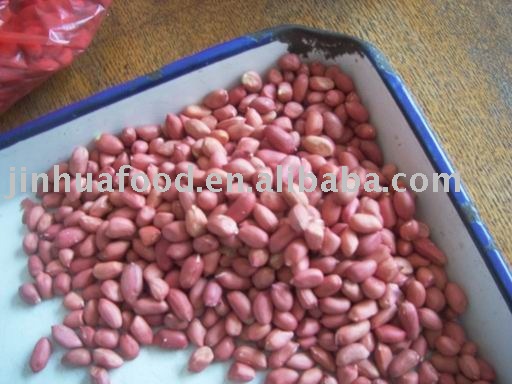 Redskin Peanut