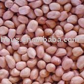 Chinese Peanut Kernels, Round Type