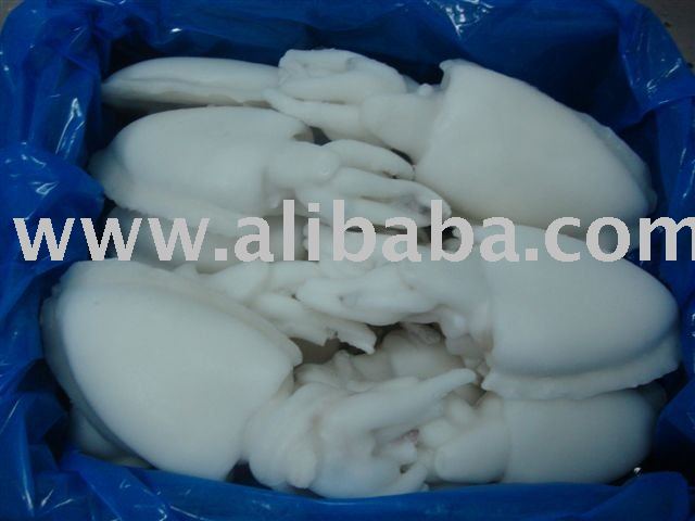 Frozen Cuttlefish Whole Cleaned