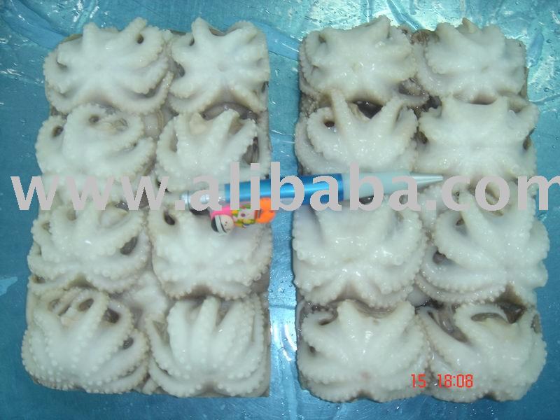 WHOLE  CLEAN ED  BABY   OCTOPUS  SINGLE SKIN