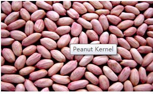 Peanut kernel