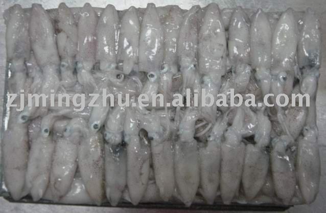 Baby Squid, Frozen