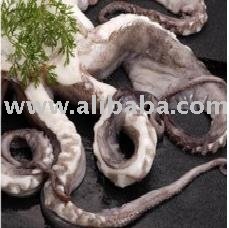 Giant Squid Tentacles (Dosidicus gigas)