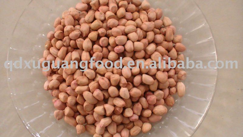 peanut kernels 40 50 raw peanuts kernels   chiese peanuts