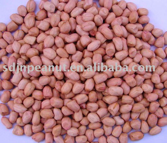 Peanut Kernels Round Shape