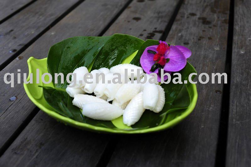 new coming frozen cuttlefish fillet