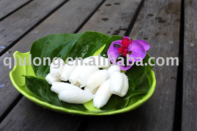 frozen seafood  (frozen cuttlefish fillet)