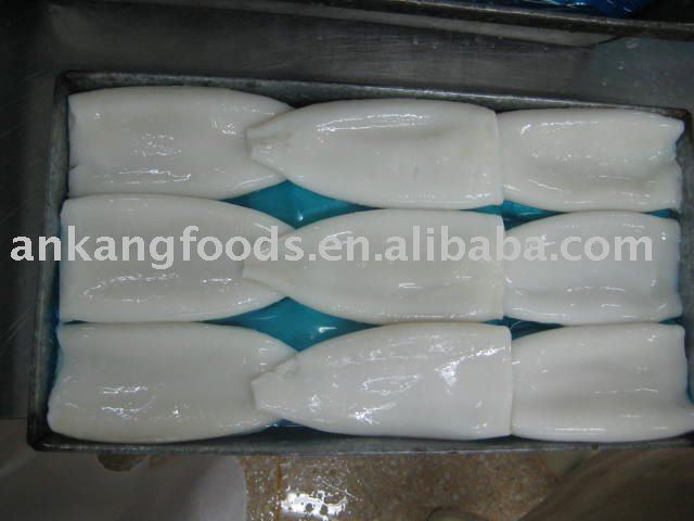  BQF   Squid  tube
