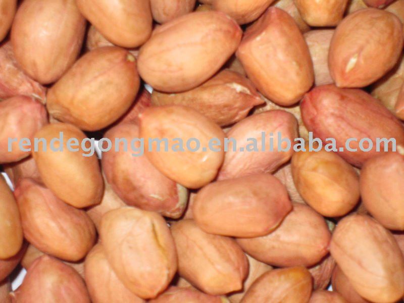 chinese shandong raw peanut 25/35