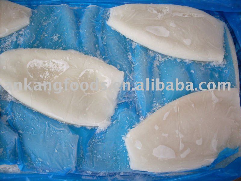 frozen squid tube U5