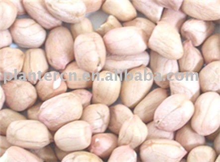 Chinese round shape peanut kernel 40/50