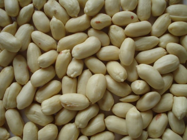 blanched peanut kernels