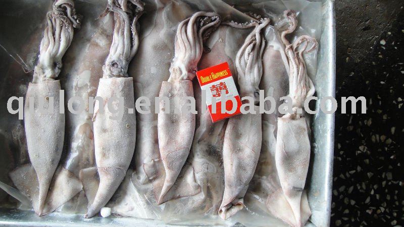 frozen seafood ( squid)