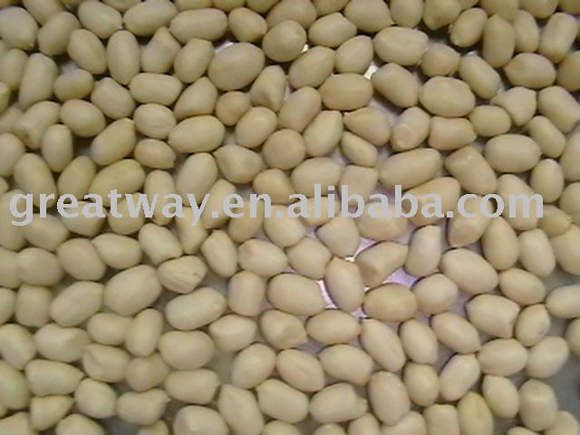 blanched peanut kernels