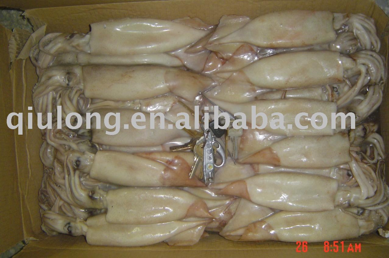 frozen squid,China QIULONG price supplier - 21food