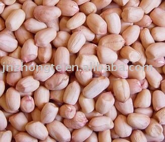 Peanuts