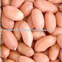 Chinese Peanut Kernel