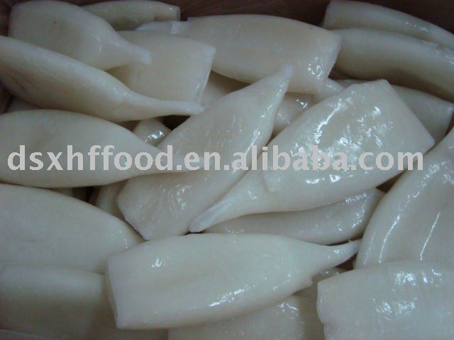  Frozen   Todarodes   Squid   Tube  High Quality