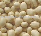 round type blanched peanut kernels