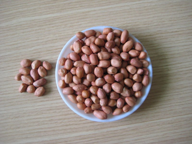 2010 crop, round   shape   peanut   kernels 