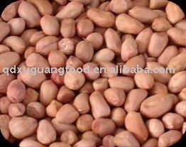 peanut kernel 40/50 chinese raw peanut in shell