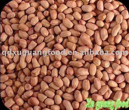 raw round peanut kernels 50/60 shandong