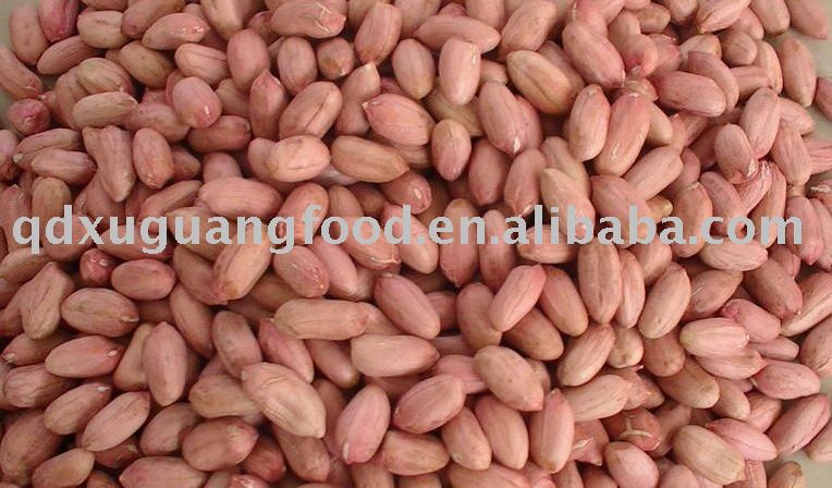 long type peanut kernel 24/28 raw groundnut in 2010