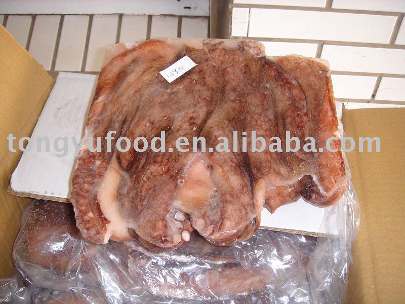 whole cleaned octopus