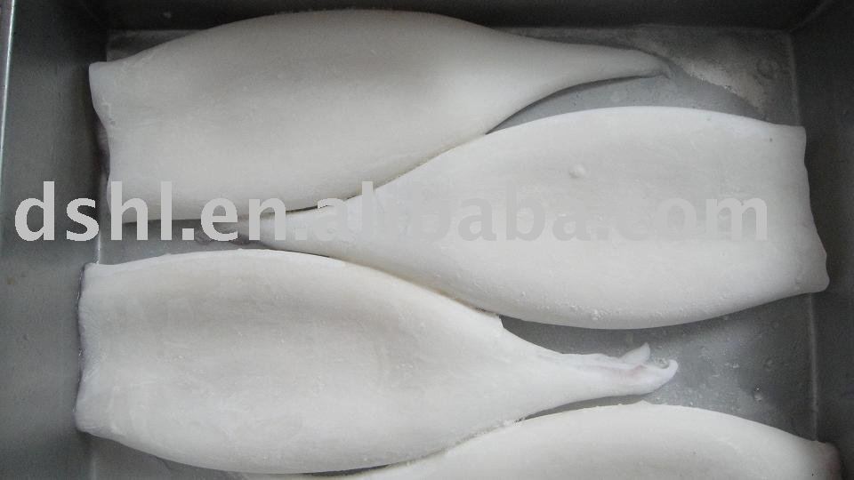 frozen Illex argentinus