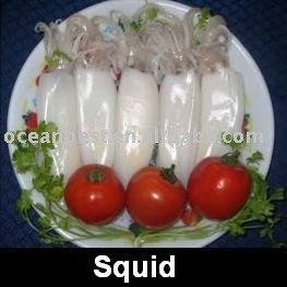 Cutted Squid