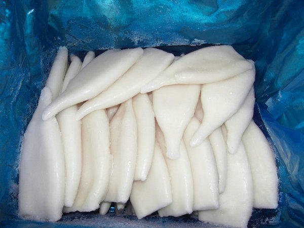 Как выглядит сырой кальмар
