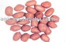 Peanut Kernels