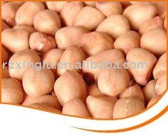  New   Crop   Peanut   Kernels 