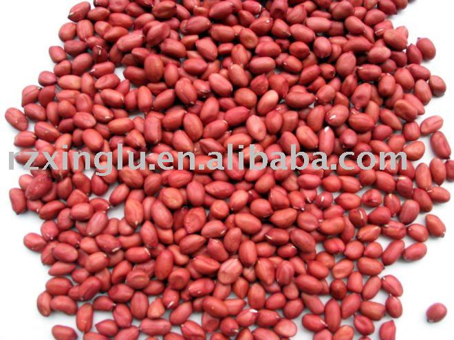 New Crop Chinese Peanut kernel