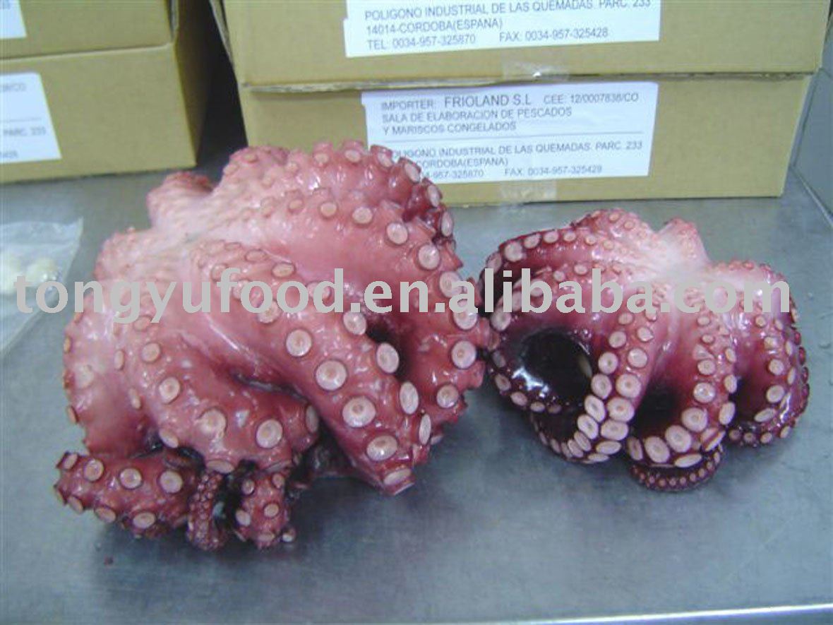 whole frozen octopus