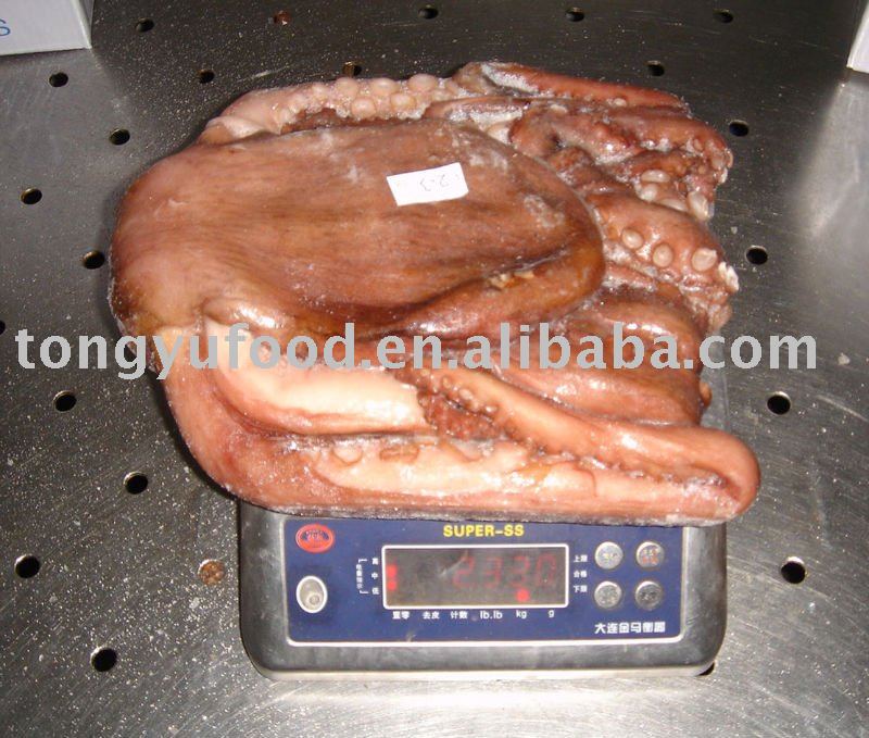 frozen whole clean octopus