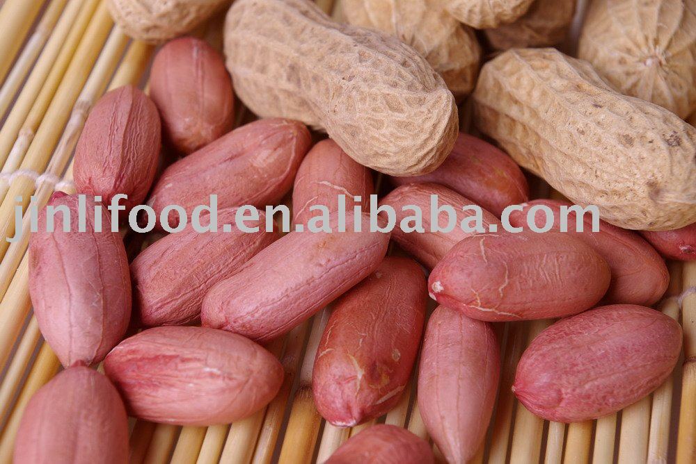 Virginia peanut