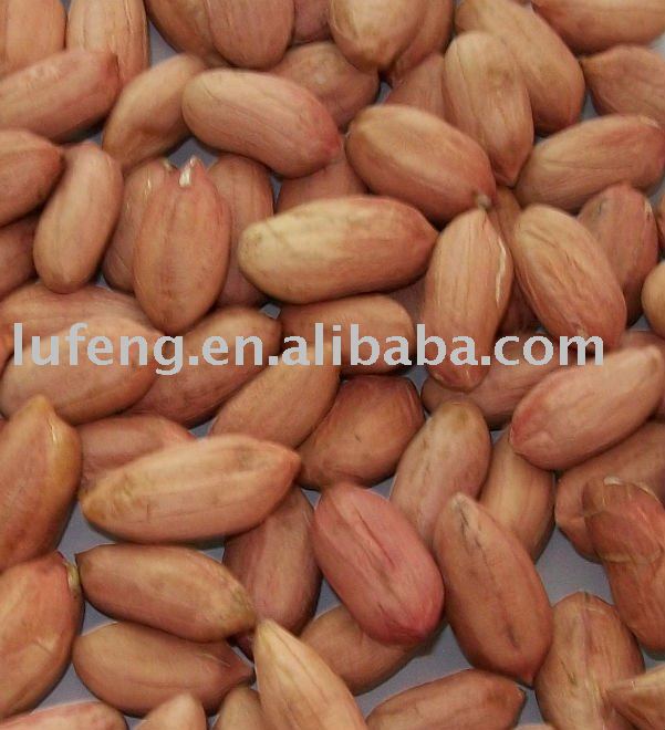 Dried Groundnut