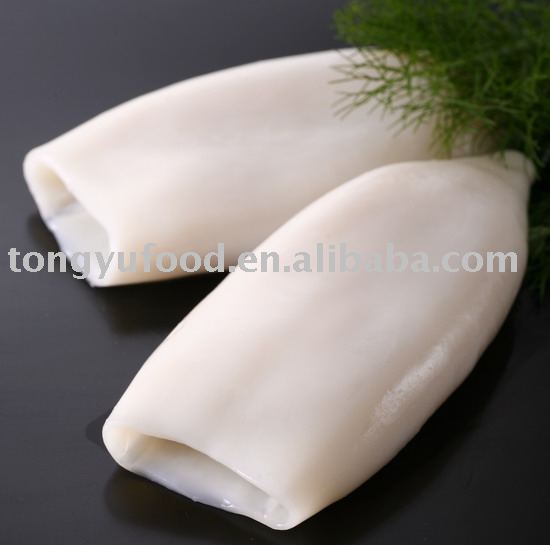 squid tube(ring)/ squid T+T