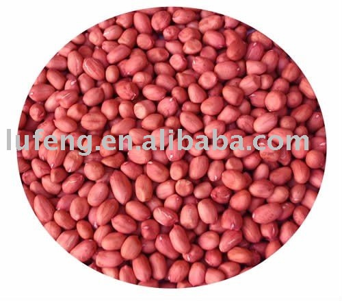 Chinese Red Skin Peanut Kernel