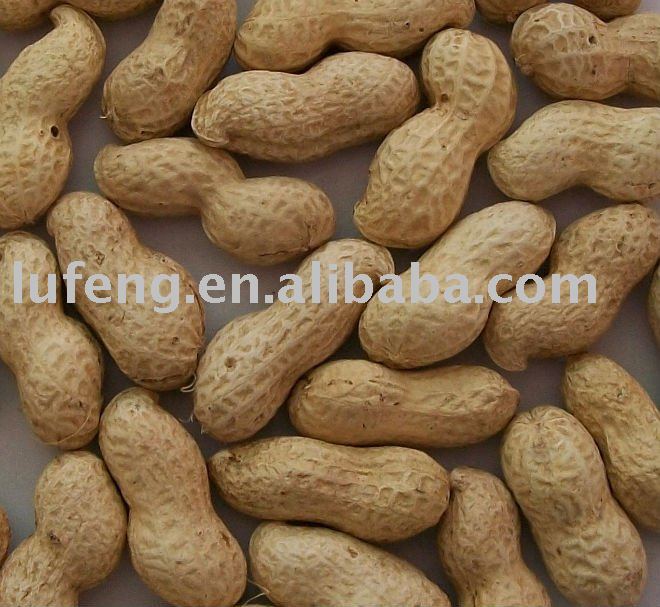 Chinese Shelled Peanut
