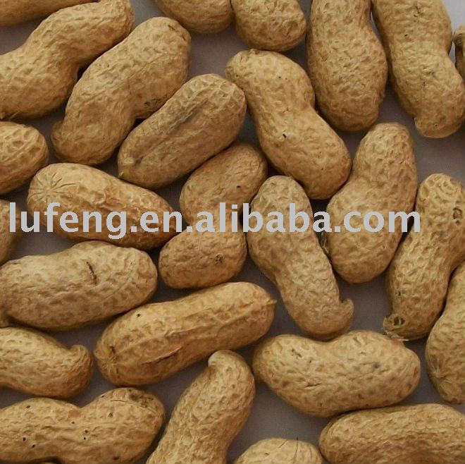 Chinese  Roasted  Peanut