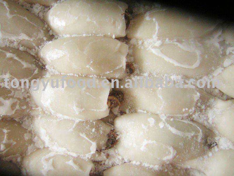 frozen T+T squid