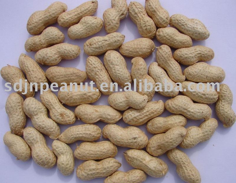 Peanut in shell washed 9/11