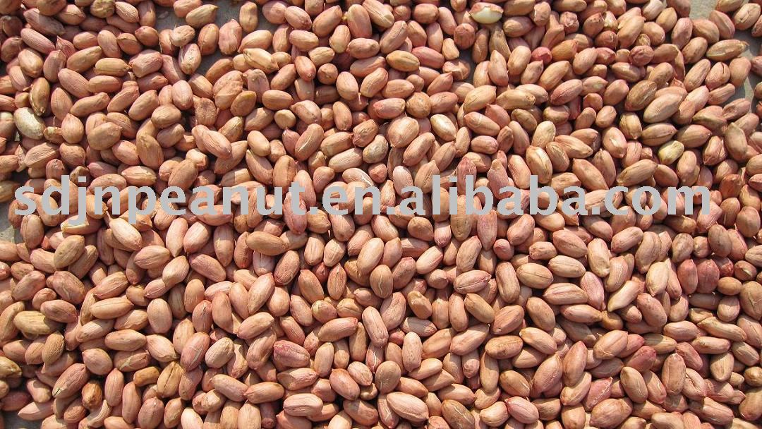 Virginia Peanut