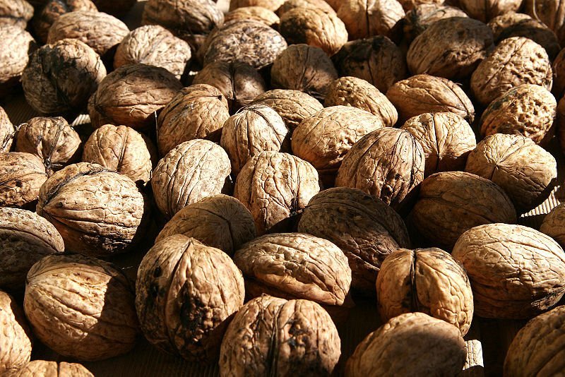 Walnut