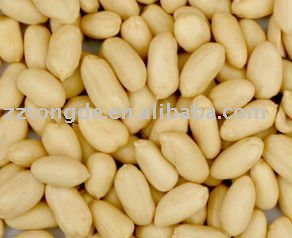 Blanched Peanut Kernel