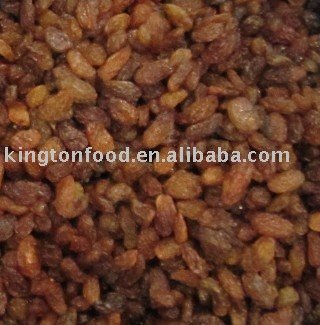 Brown Raisin