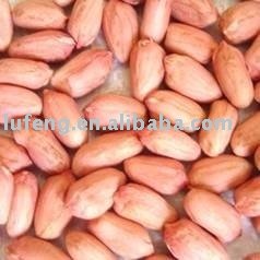 Vacuum Bags  Packing  Peanut Kernel